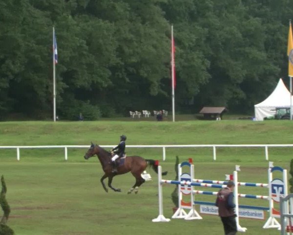 Schenefelder Sommerturnier 2015 - Horse & Classic