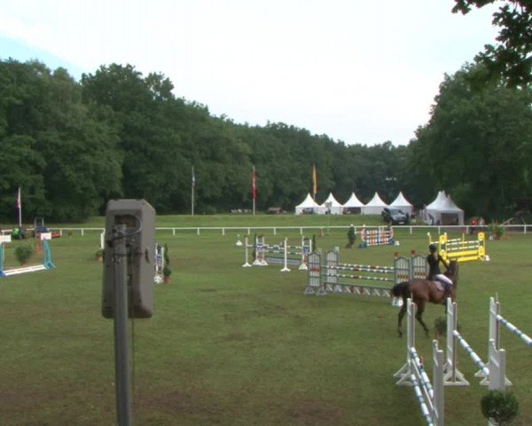 Schenefelder Sommerturnier 2015 - Horse & Classic