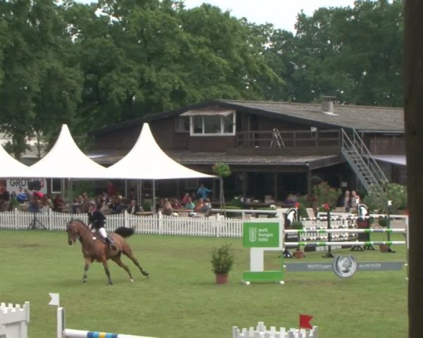 Schenefelder Sommerturnier 2015 - Horse & Classic