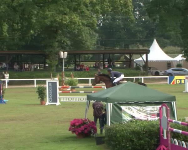 Schenefelder Sommerturnier 2015 - Horse & Classic