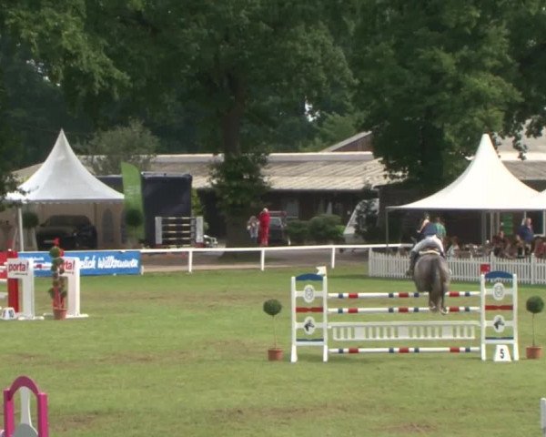 Schenefelder Sommerturnier 2015 - Horse & Classic