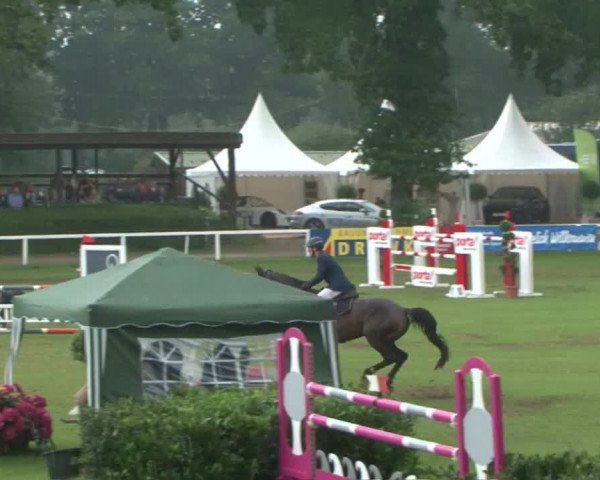 Schenefelder Sommerturnier 2015 - Horse & Classic