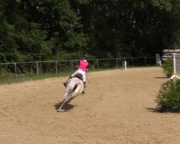 Reitturnier Bühren-Breckerfeld 2015
