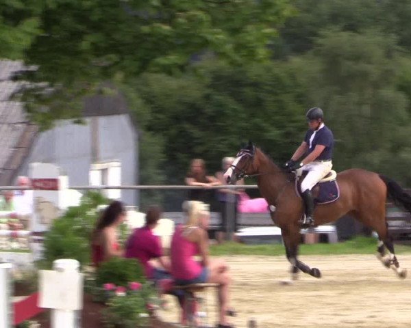 Reitturnier Bühren-Breckerfeld 2015