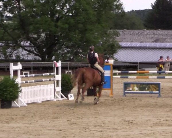 Reitturnier Bühren-Breckerfeld 2015
