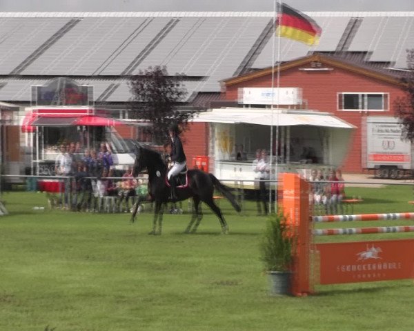 Reitturnier Holdorf 2015