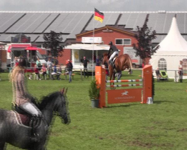 Reitturnier Holdorf 2015