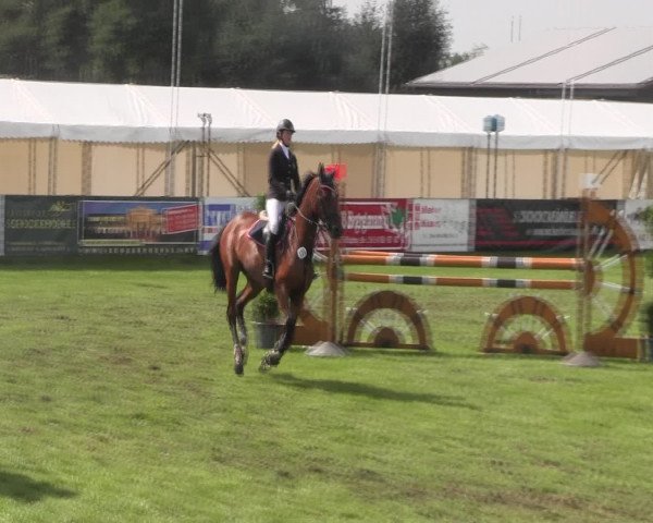 Reitturnier Holdorf 2015