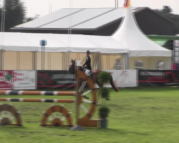 Reitturnier Holdorf 2015