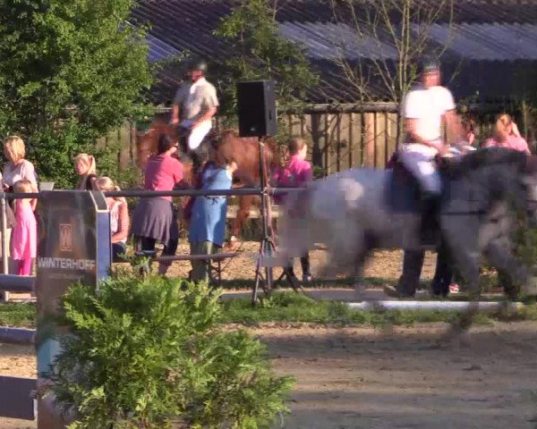 Reitturnier Bühren-Breckerfeld 2015