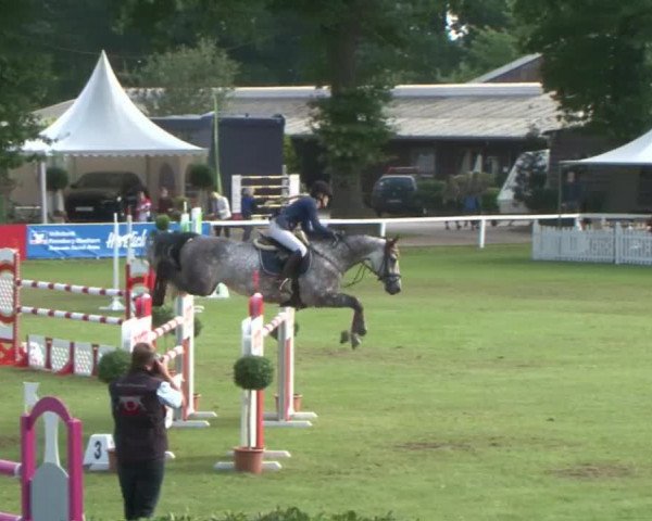 Schenefelder Sommerturnier 2015 - Horse & Classic