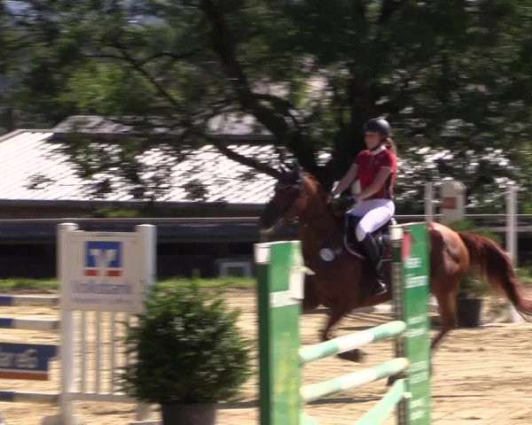 Reitturnier Bühren-Breckerfeld 2015