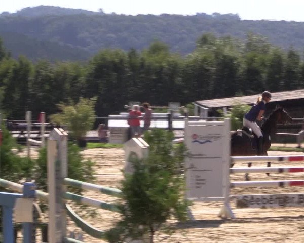 Reitturnier Bühren-Breckerfeld 2015