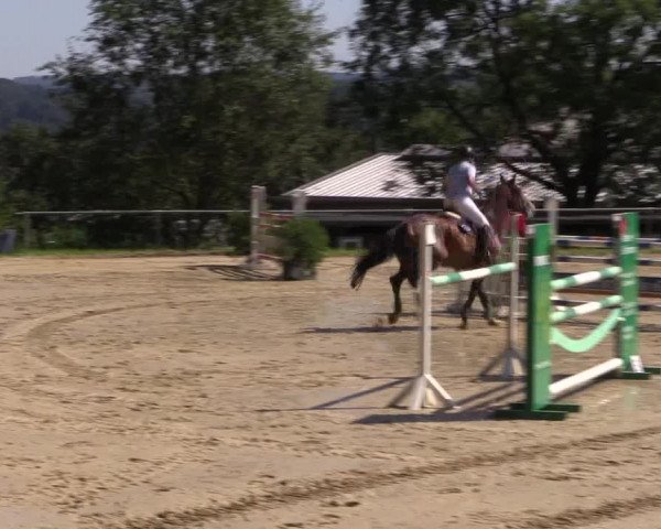 Reitturnier Bühren-Breckerfeld 2015