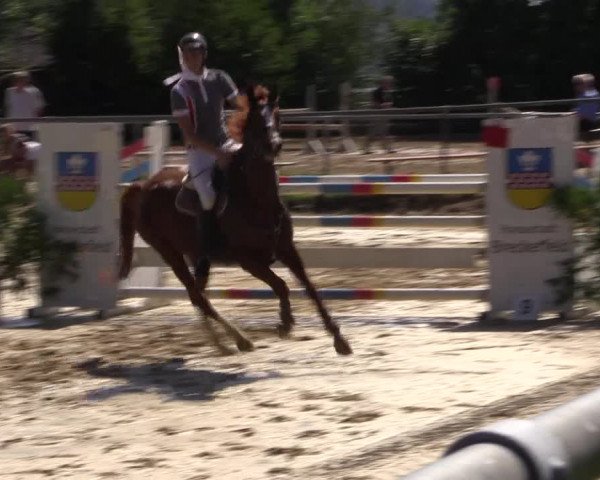 Reitturnier Bühren-Breckerfeld 2015