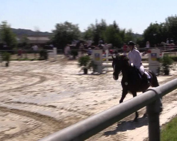 Reitturnier Bühren-Breckerfeld 2015