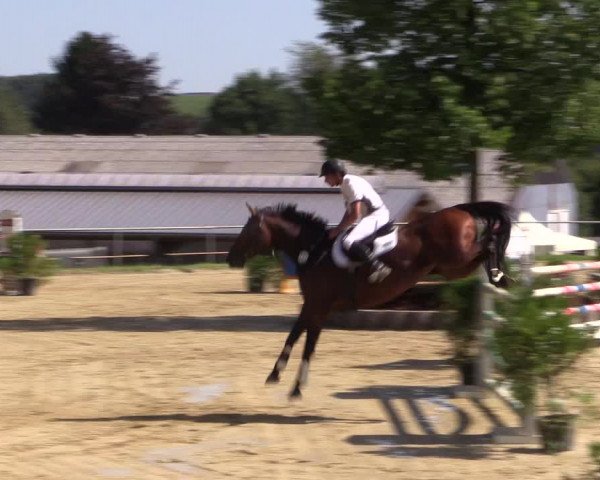 Reitturnier Bühren-Breckerfeld 2015