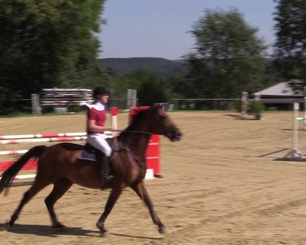 Reitturnier Bühren-Breckerfeld 2015
