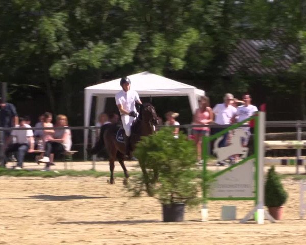 Reitturnier Bühren-Breckerfeld 2015