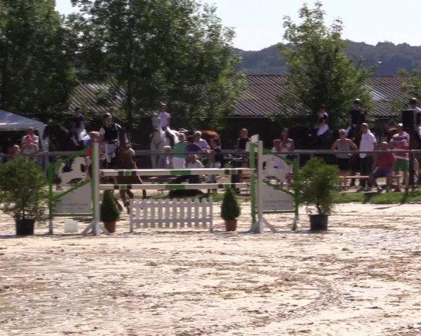 Reitturnier Bühren-Breckerfeld 2015