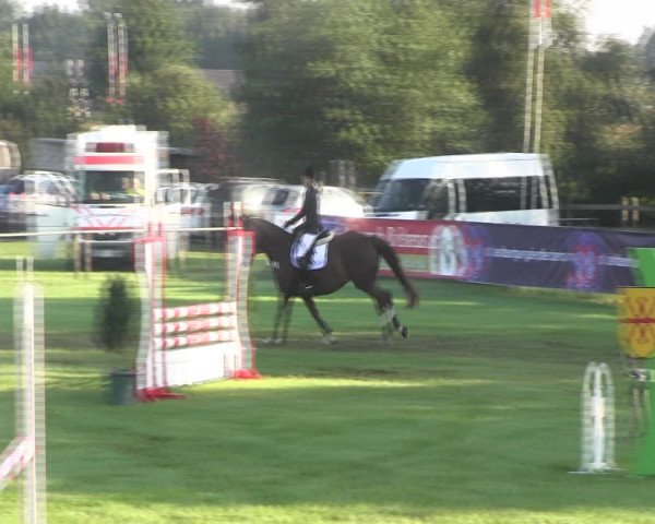 Reitturnier Holdorf 2015