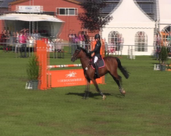 Reitturnier Holdorf 2015