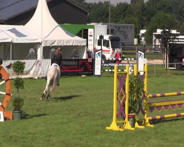 Reitturnier Holdorf 2015