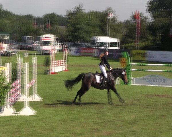 Reitturnier Holdorf 2015