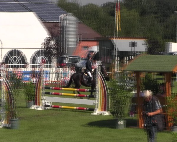 Reitturnier Holdorf 2015
