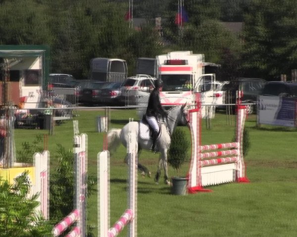 Reitturnier Holdorf 2015