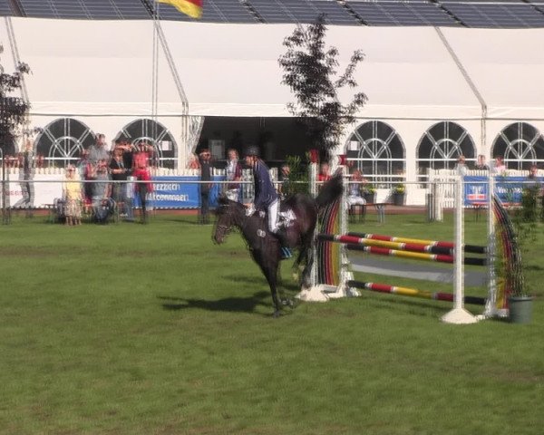 Reitturnier Holdorf 2015