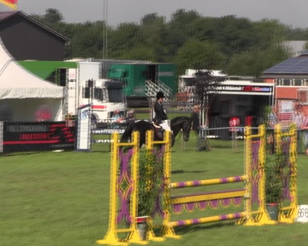 Reitturnier Holdorf 2015