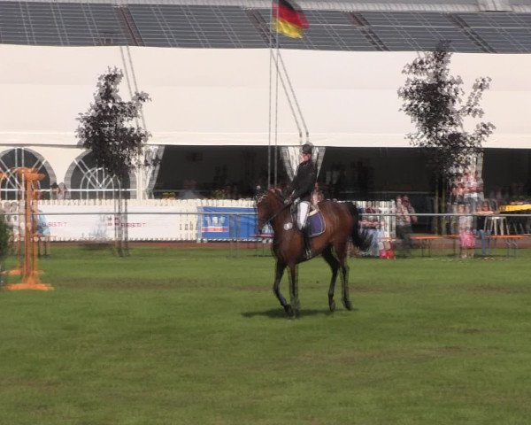 Reitturnier Holdorf 2015