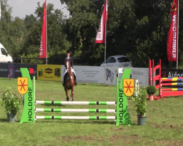 Reitturnier Holdorf 2015