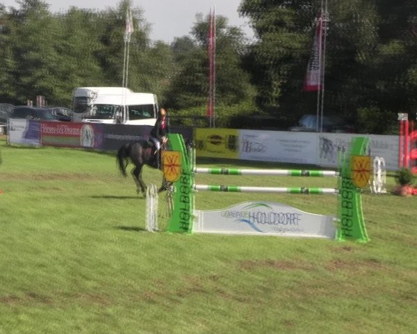 Reitturnier Holdorf 2015