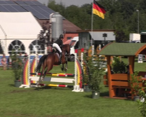 Reitturnier Holdorf 2015