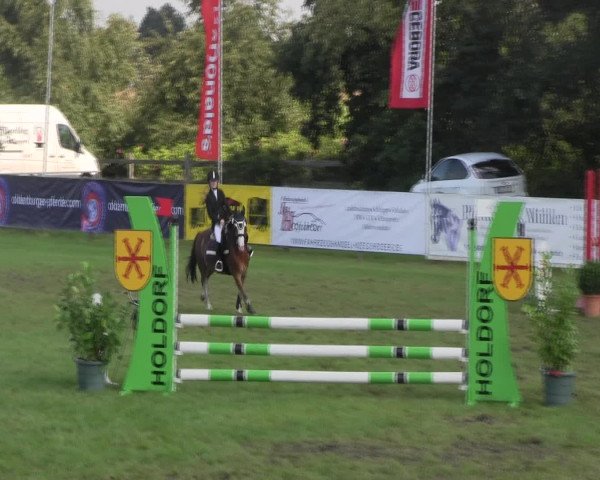 Reitturnier Holdorf 2015