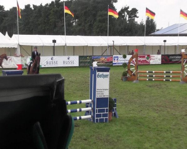 Reitturnier Holdorf 2015