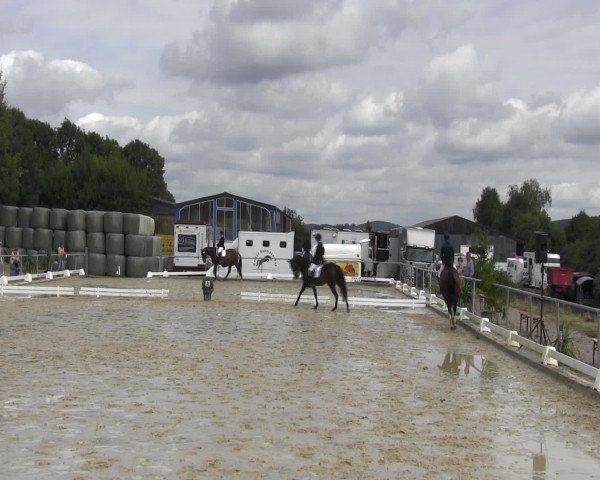 Reitturnier Bühren-Breckerfeld 2015