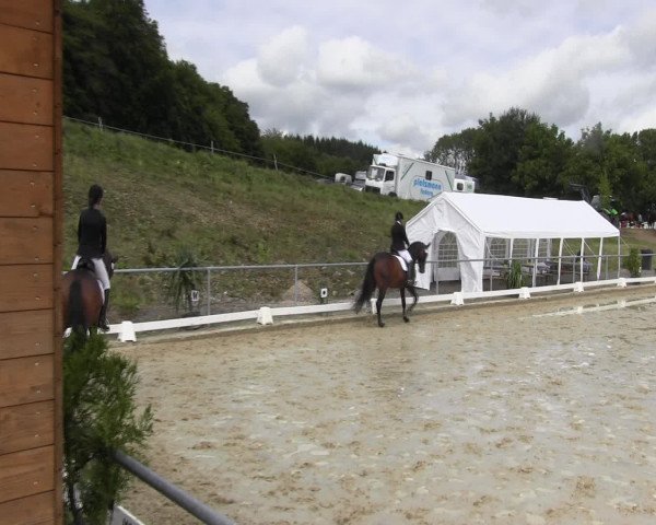 Reitturnier Bühren-Breckerfeld 2015