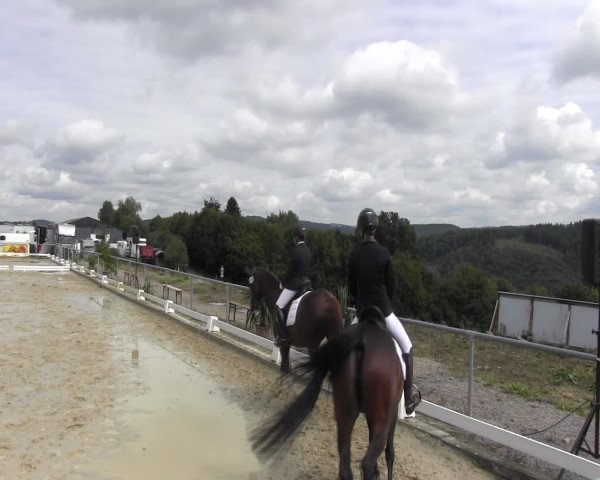 Reitturnier Bühren-Breckerfeld 2015