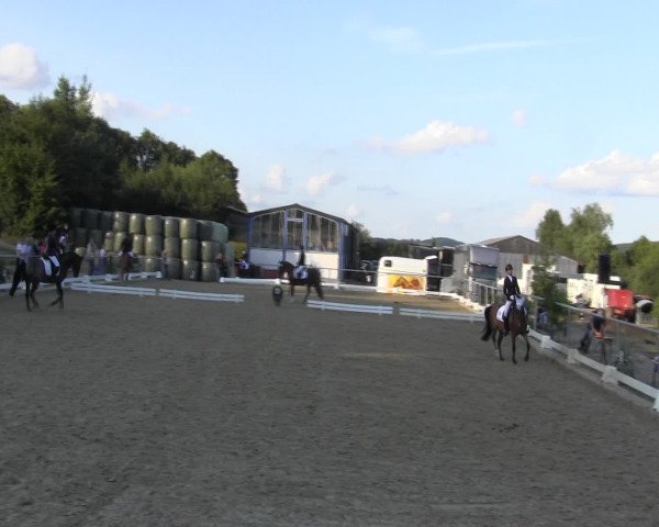 Reitturnier Bühren-Breckerfeld 2015