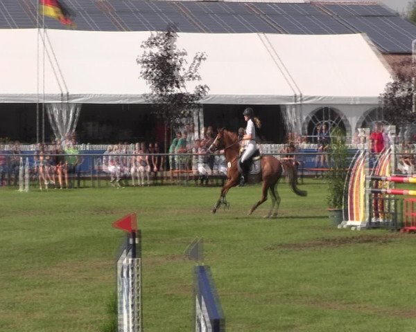 Reitturnier Holdorf 2015