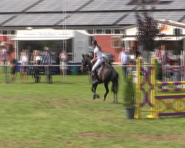 Reitturnier Holdorf 2015