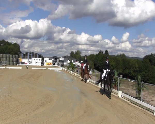 Reitturnier Bühren-Breckerfeld 2015