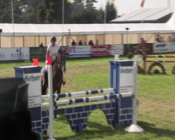 Reitturnier Holdorf 2015