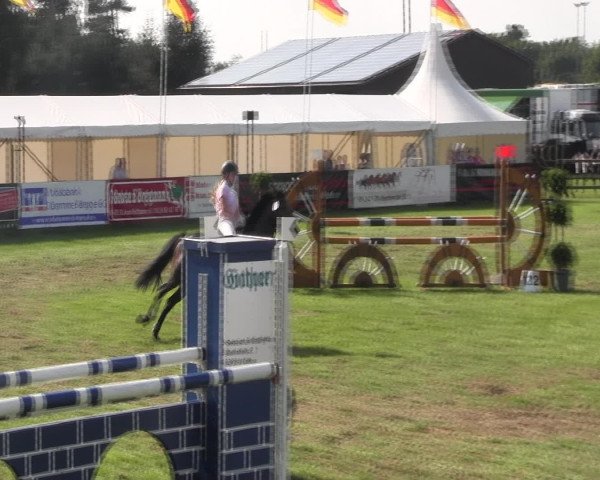 Reitturnier Holdorf 2015