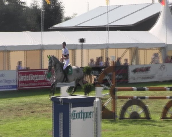 Reitturnier Holdorf 2015