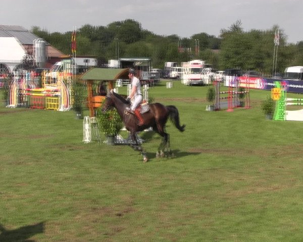 Reitturnier Holdorf 2015
