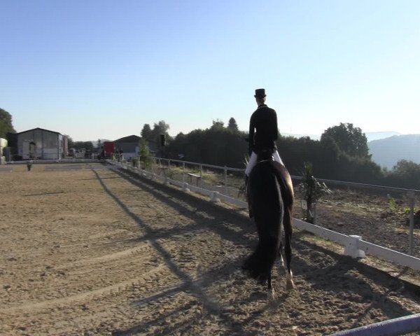 Reitturnier Bühren-Breckerfeld 2015